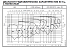NSCS 125-200/550X/W25VCC4 - График насоса NSC, 4 полюса, 2990 об., 50 гц - картинка 3
